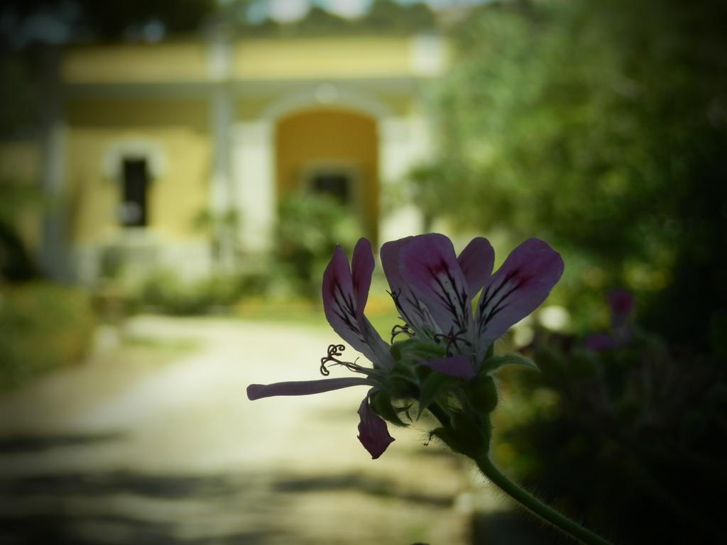 Hotel Dimora Relais Excelsa Gallipoli Zewnętrze zdjęcie